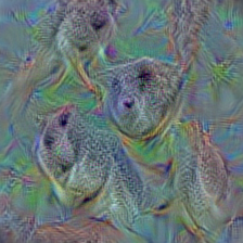 n01877812 wallaby, brush kangaroo